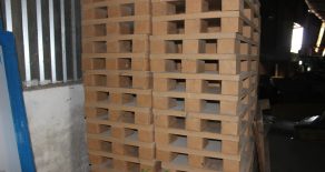 DOANH NGHIỆP XUẤT KHẨU ƯU TIÊN DÙNG PALLET GIẤY?